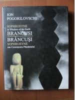 Anticariat: Ion Pogorilovschi - Brancusi. Sophrosyne sau cumintenia pamantului (editie bilingva)