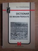 Anticariat: G. I. Tohaneanu - Dictionar de imagini pierdute