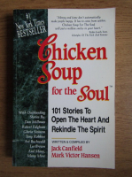 Jack Canfield - Chicken soup for the soul. 101 stories to open the heart and rekindle the spirit