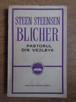 Anticariat: Steen Steensen Blicher - Pastorul din Vejlbye