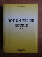 Titu Georgescu - Tot un fel de istorie (volumul 2)