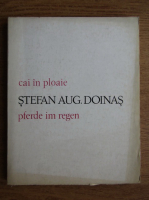 Stefan Augustin Doinas - Cai in ploaie