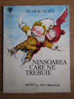 Nicolae Neagu - Ninsoarea care ne trebuie