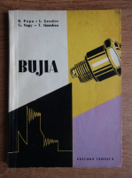 B. Popa - Bujia