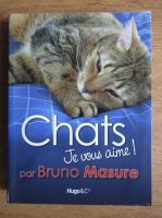 Bruno Masure - Chats. Je vous aime!