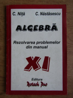C. Nita, C. Nastasescu - Algebra. Rezolvarea problemelor din manual XI