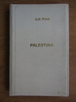 Ilie Puia - Palestina. Istorie si prezent