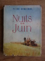 Petru Dumitriu - Nuits de Juin