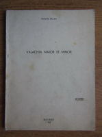 Teodor Balan - Valachia maior et minor