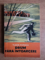 Tudor Popescu - Drum fara intoarcere