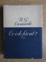 N. G. Cernisevski - Ce-i de facut?