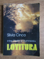Silvia Cinca - Intre Destin si Dumnezeu. Lovitura
