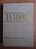 Anticariat: Anatomie. Angiologia, glandele endocrine, sistemul nervos si organele de simt