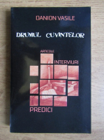 Danion Vasile - Drumul cuvintelor