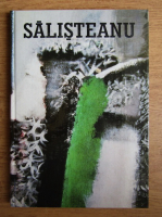 Ion Salisteanu - Salisteanu (album)