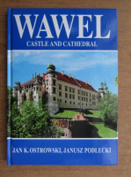 Jan K. Ostrowski - Wawel castle and cathedral
