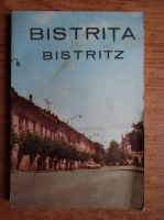 Stefan Danila - Bistrita (ghid turistic)