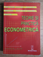 Vergil Voineagu - Teorie si practica econometrica