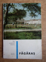 Fagaras, mic indreptar turistic