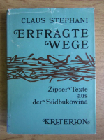 Claus Stephani - Erfragte Wege