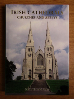 James Steven Curl - Irish Cathedrals