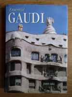 John Gill - Essential Gaudi