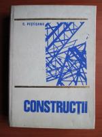 C. Pestisanu - Constructii