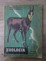 Anticariat: Constantin Bogoescu - Zoologia. Manual pentru clasa a IX-a