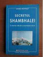 Anticariat: James Redfield - Secretul Shambhalei. In cautarea celei de-a unsprezecea viziuni