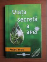 Masaru Emoto - Viata secreta a apei