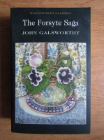 John Galsworthy - The forsyte sega