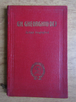 Anticariat: Gheorghe Gheorghiu Dej - Schita biografica