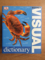 Pocket visual dictionary