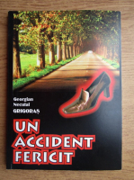 Georgian Neculai Grigoras - Un accident fericit