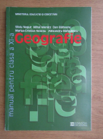 Silviu Negut, Mihai Ielenicz, Dan Balteanu - Geografie, manual pentru clasa a XI-a