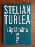 Stelian Turlea - Saptamana nebuna