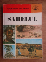 Aurel Zamfirescu - Sahelul
