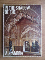 Manuel Martinez Martinez - In the shadow of the Alhambra