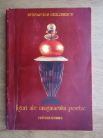 Stefan Ion Ghilimescu - Figuri ale imaginarului poetic