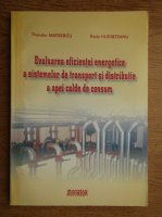 Theodor Mateescu - Evaluarea eficientei energetice a sistemelor de transport si distributie a apei calde de consum