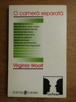 Virginia Woolf - O camera separata