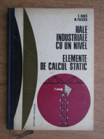 C. Rusca - Hale industriale cu un nivel, elemente de calcul static
