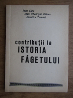 Ioan Cipu - Contributii la istoria Fagetului