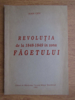 Ioan Cipu - Revolutia de la 1848-1849 in zona Fagetului