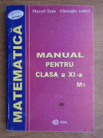 Marcel Tena - Manual pentru clasa a XI -a