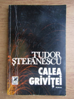 Anticariat: Tudor Stefanescu - Calea Grivitei