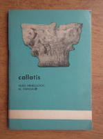 Callatis (ghid arheologic al Mangaliei)