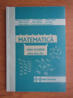 Gheorghe Necsuleu - Matematica, culegere probleme pentru clasa a XI-a