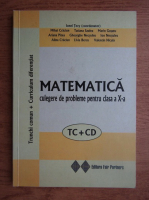 Ionel Tevy - Matematica, culgere de probleme pentru clasa a X-a