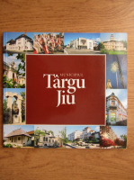 Municipiul Targu Jiu
